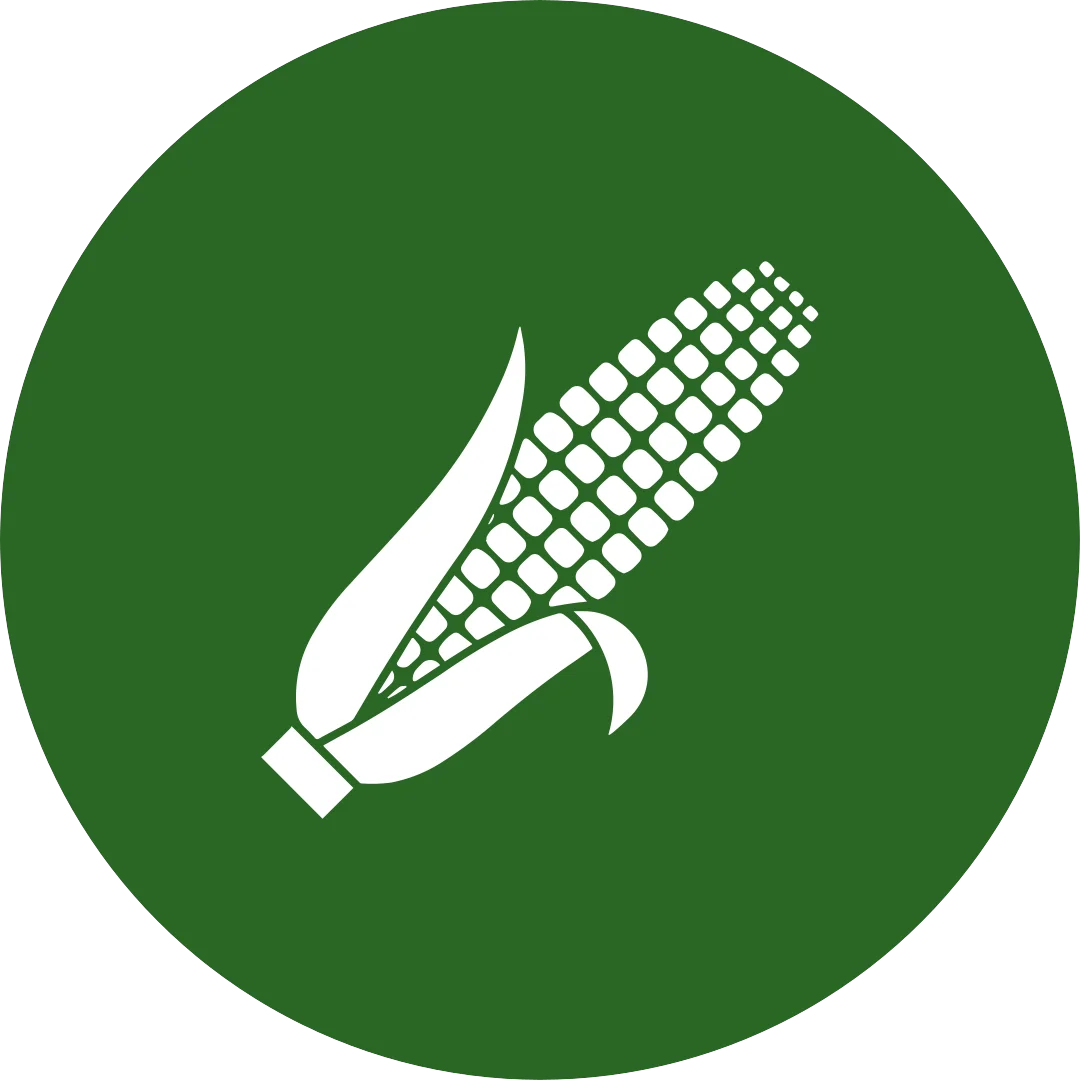 CORN Logo